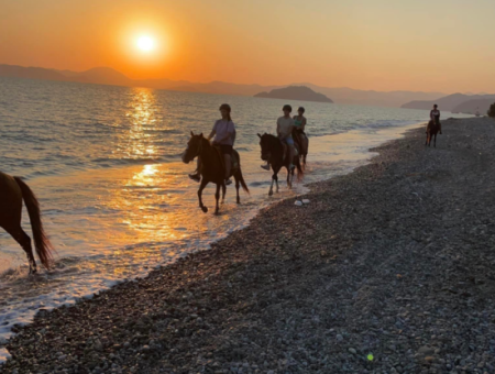 Dörtnala Giden Deniz Atları